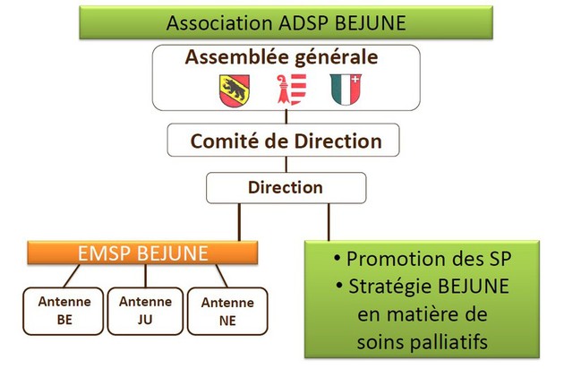 Organigramme ADSP BEJUNE